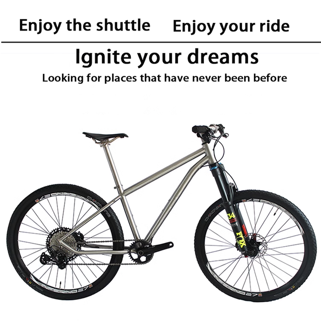 titanium MTB bike titanium MTB bike